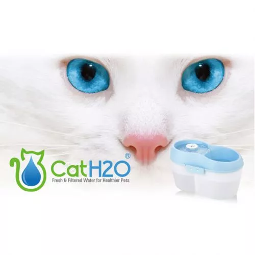 מזרקת מים עם אבן פלואוריד - CATH2O
