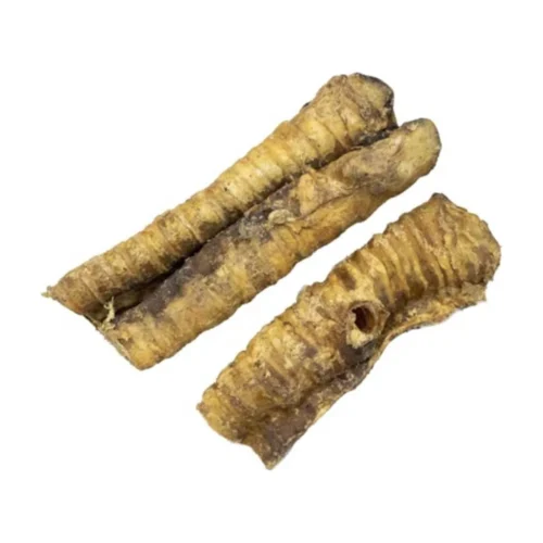 קנה נשימה קרניבור
