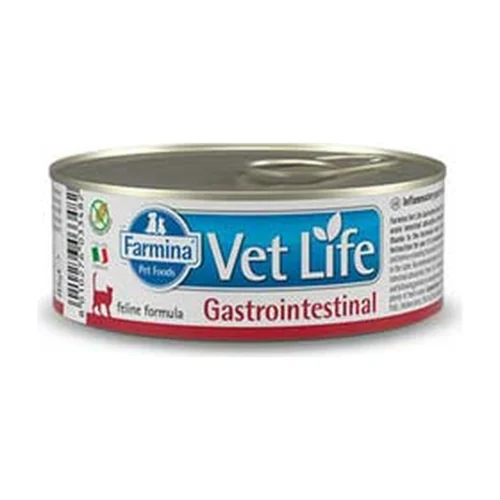 VETLIFE וט לייף שימורים לחתול - גסטרו אינטסטינל