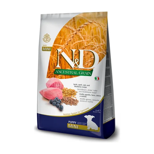 ND כלב מיני - מופחת - גור כבש