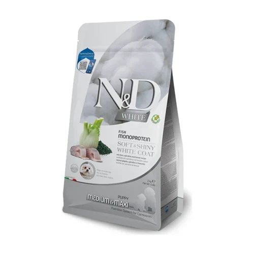 ND כלב ספירולינה- כלב לבן גורים